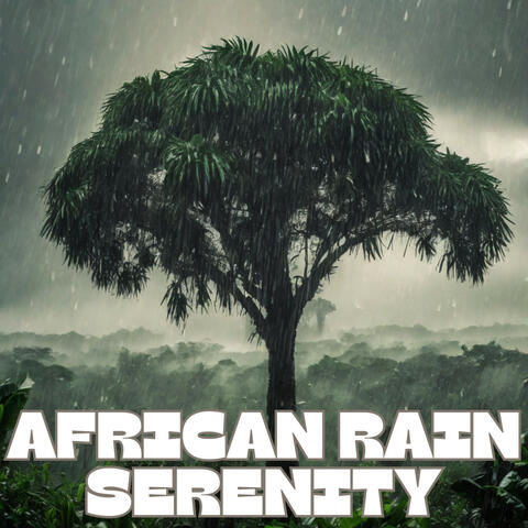 African Rain Serenity: ASMR Soothing Sounds for Mindful Sleep in South Africa's Majestic Savannas