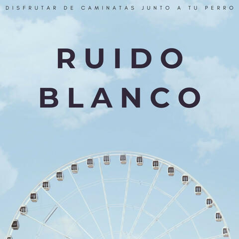 Ruido Blanco: Disfrutar De Caminatas Junto A Tu Perro