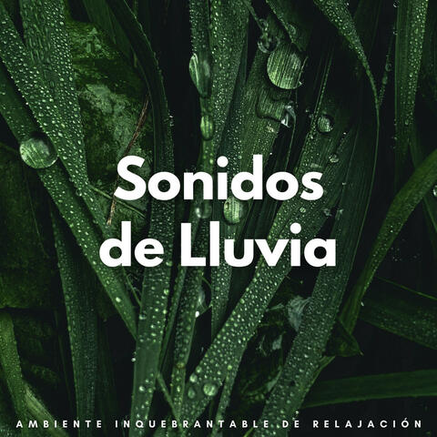Sonidos De Lluvia: Ambiente Inquebrantable De Relajación