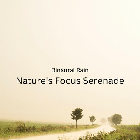Binaural Rain: Nature's Focus Serenade
