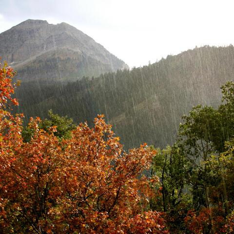 Rhythms of Rainy Relaxation: Relaxing Music Rainfall Oasis