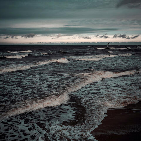 Focused Mind by the Shore: Relaxing Music Ocean
