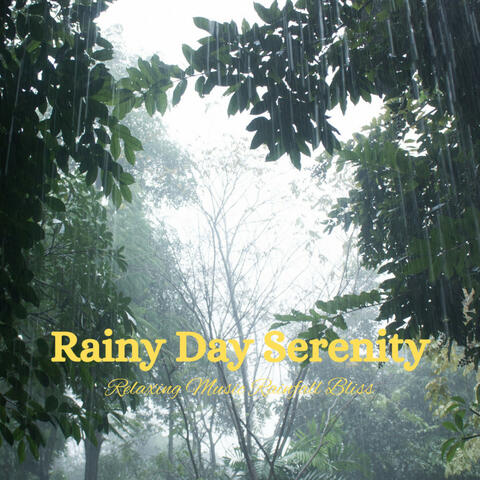 Rainy Day Serenity: Relaxing Music Rainfall Bliss