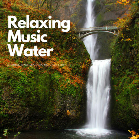 Relaxing Music Water: Eternal River Learning Nature's Serenity