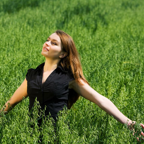 Nature Insects Serenity: Crickets' Chorus Relaxation Tunes