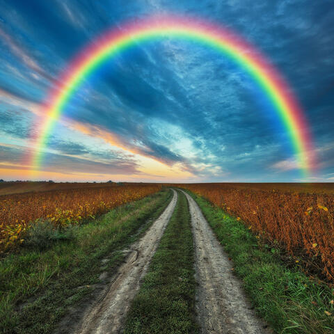 Rainbows in Nature: Melodic Bliss Across Horizons