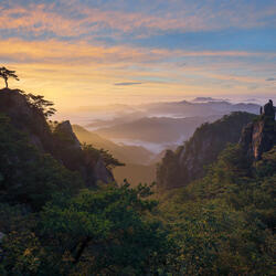 Earth's Beauty in Harmony