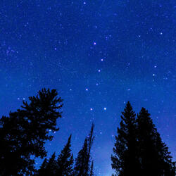 Nature's Starlit Tranquil Melodies