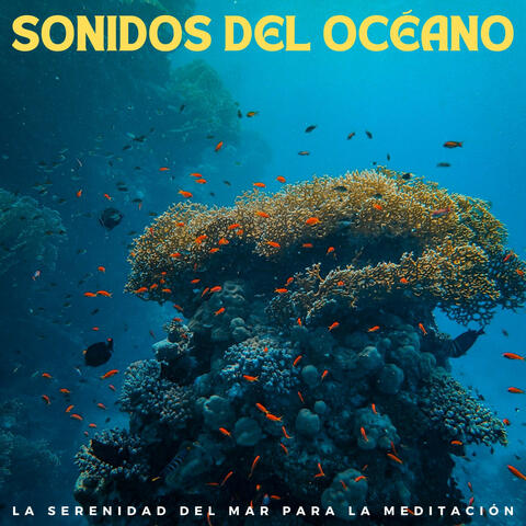 Sonidos Del Océano: La Serenidad Del Mar Para La Meditación