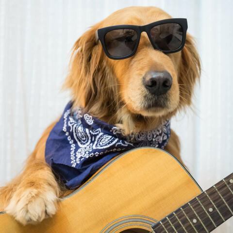 Puppy Playful Melodies: Music For Energetic Dogs