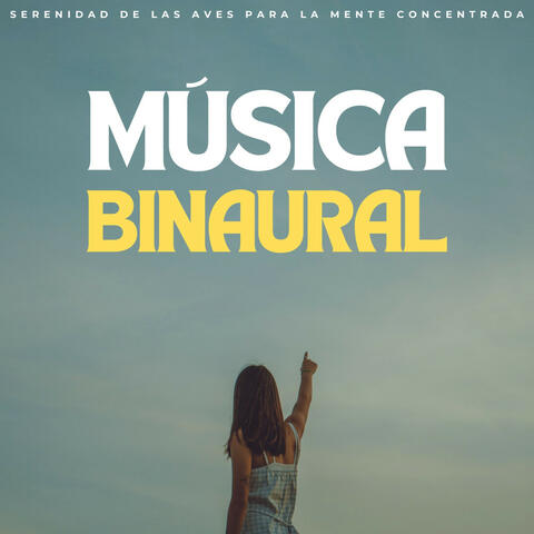 Música Binaural: Serenidad De Las Aves Para La Mente Concentrada