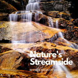 Duet of Flowing Serenity