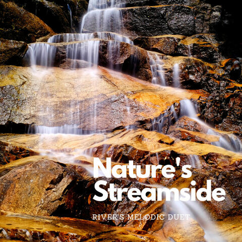 Nature's Streamside: River's Melodic Duet