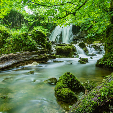 Meditative Waterscapes: Tranquil Chorale of the River's Flow