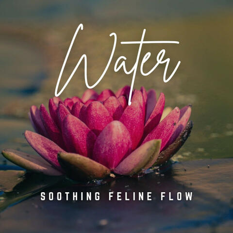 Music to Soothe Your Kitty: Tranquil Water Melodies