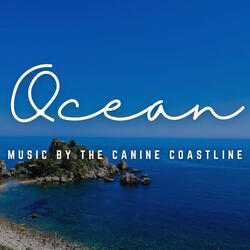 Oceanic Serenity for Paws Flow