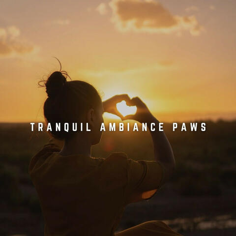 Music for Dog's Tranquility: Fireside Ambiance