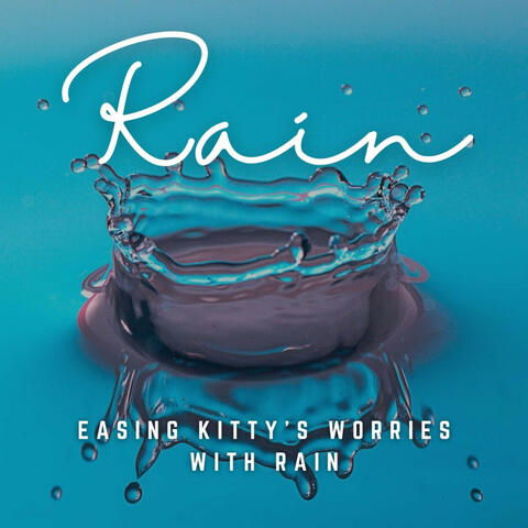 Rainy Purrs: Music to Ease Your Cat's Stress