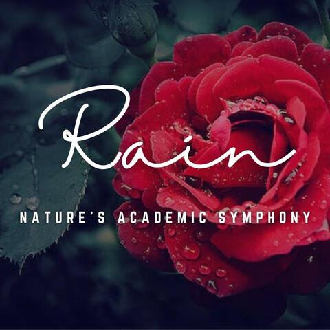 Rainy Study Focus: Nature's Academic Symphony