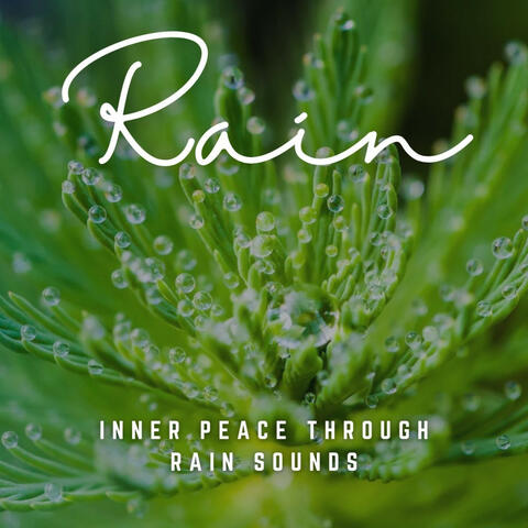 Raindrop Reflections: Inner Peace through Rain Sounds