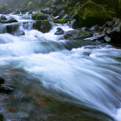 Meditative Flow by the Riverbank