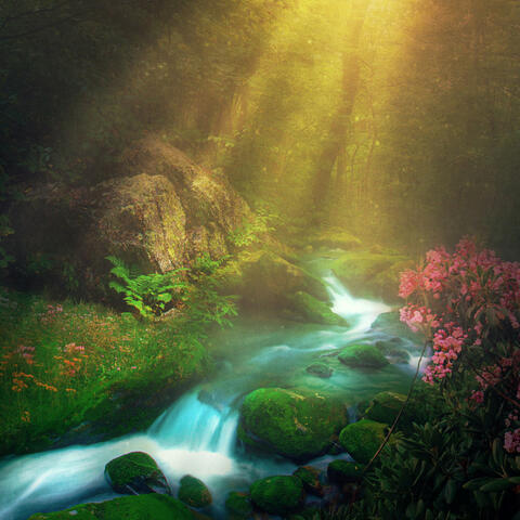 Serene Waters of Sleep: Stream's Embrace