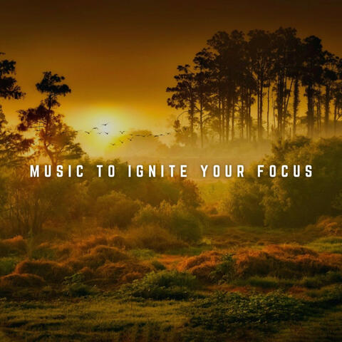 Music to Ignite Your Focus: Firelight Harmony