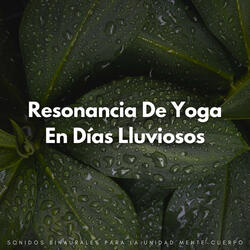 Sueños De Yoga