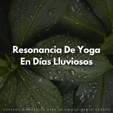Resonancia De Yoga En Días Lluviosos: Sonidos Binaurales Para La Unidad Mente-Cuerpo