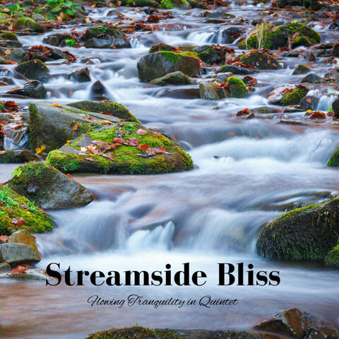 Streamside Bliss: Flowing Tranquility in Quintet