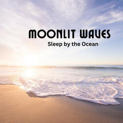 Sleep Under the Moonlight