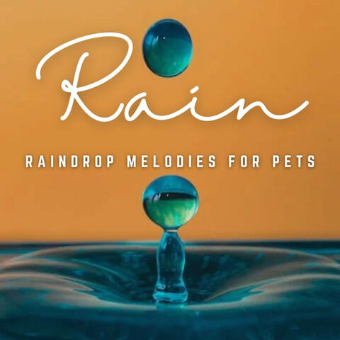 Raindrop Harmony: Relaxing Sounds for Furry Friends