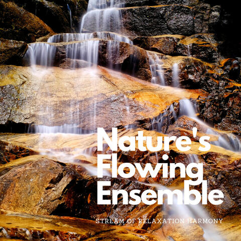 Nature's Flowing Ensemble: Stream of Relaxation Harmony