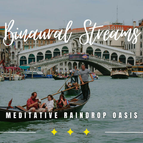 Meditative Raindrop Harmony: Binaural Meditation Escapes