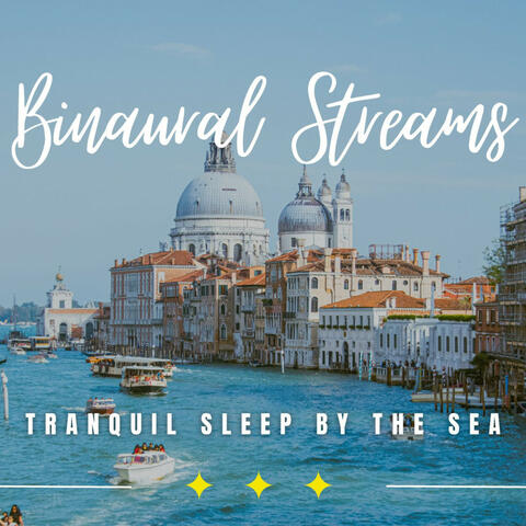 Mystic Ocean Dreams: Binaural Sleep Harmony