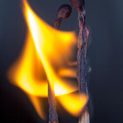 Mesmerizing Flames Journey Serenity