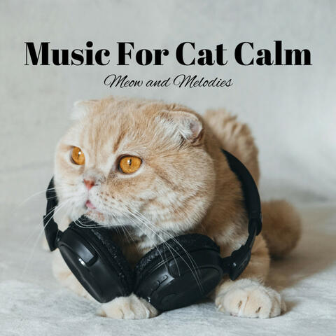 Music For Cat Calm: Meow and Melodies