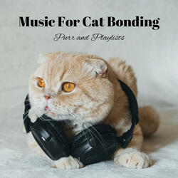 Recitative for Purr-Filled Connections