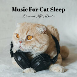 Kitty's Chorale of Sleep