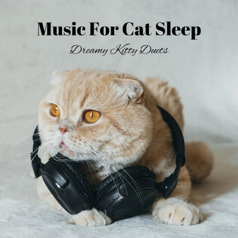 Music For Cat Sleep: Dreamy Kitty Duets