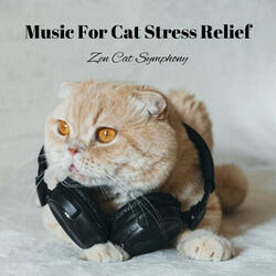Serene Anthem in Cat Harmony