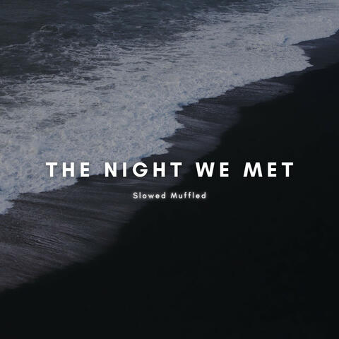 The Night We Met