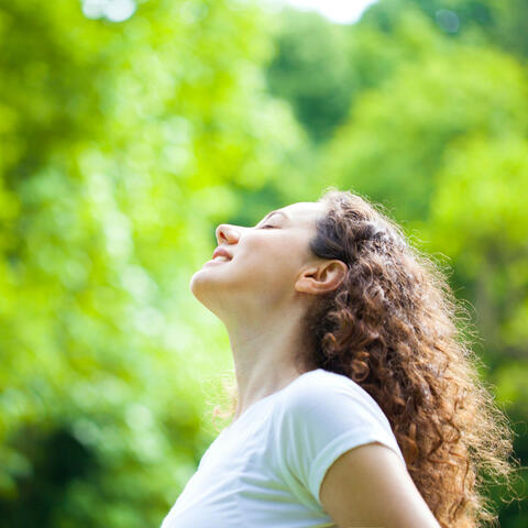 Soothing Raindrops: Piano Relaxation Melodies