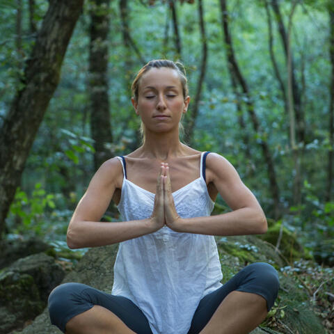 Meditative Binaural Embrace: Yoga and Rhythmic Rain Practice