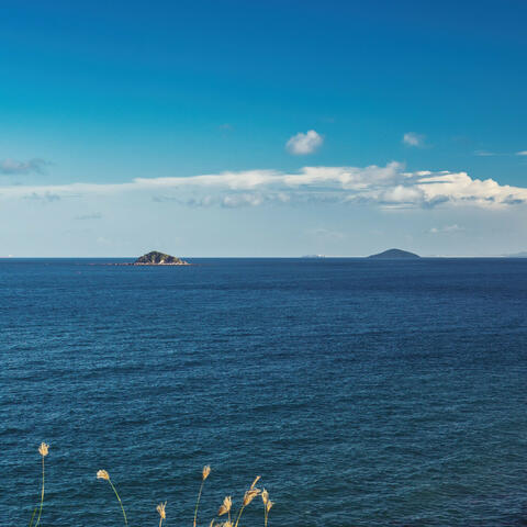Cerulean Rhythms: Deep Blue Ocean Melodies