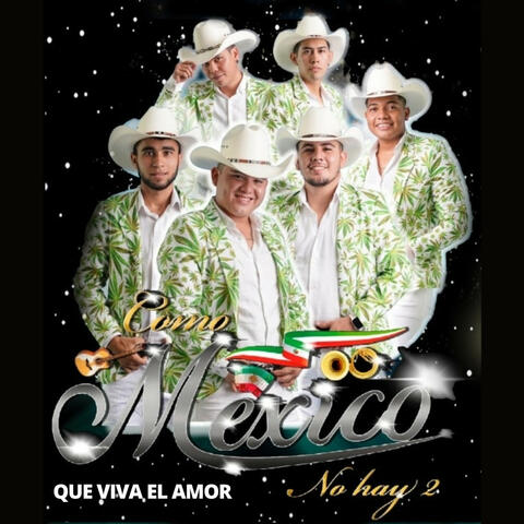 Que Viva El Amor