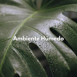 Clima Húmedo