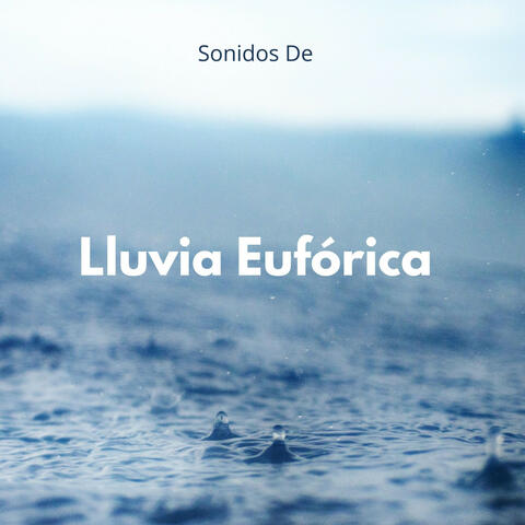 Sonidos De Lluvia Eufórica