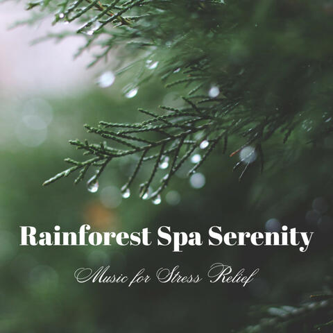 Rainforest Spa Serenity: Music for Stress Relief