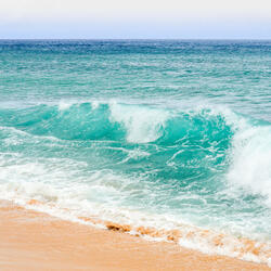 Serene Melodies of Coastal Bliss